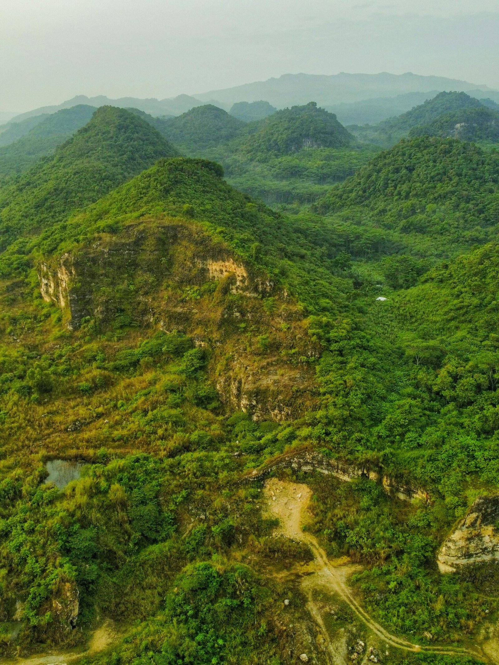 A breathtaking aerial view of lush green hills in a tropical rainforest landscape.