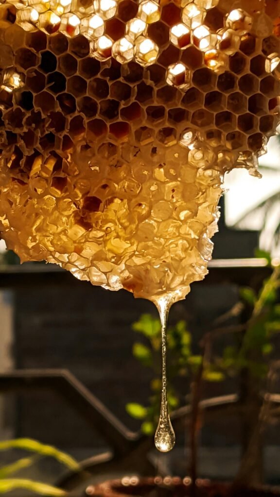 Close-up of a golden honeycomb dripping fresh honey outdoors, showcasing natural hexagon patterns.